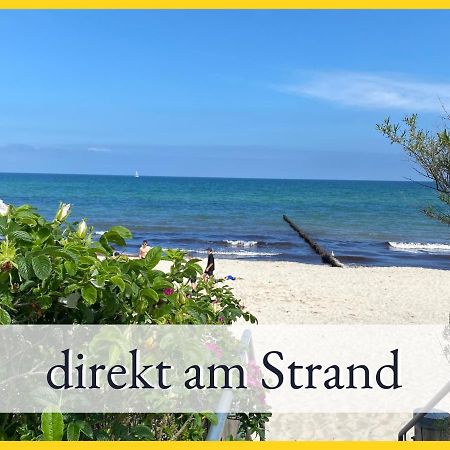 3 Zimmer App Duenengarten Fewo 58 Ostseebad Kühlungsborn Εξωτερικό φωτογραφία