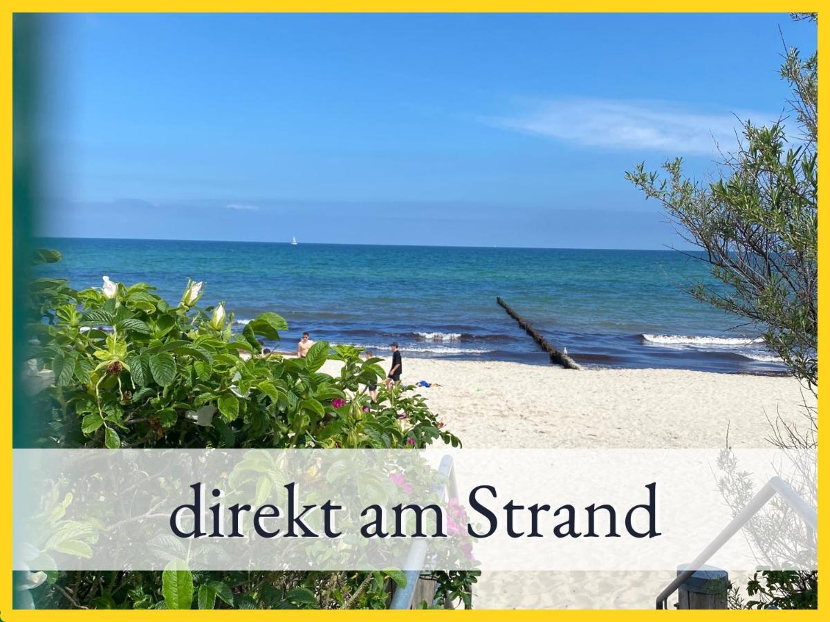 3 Zimmer App Duenengarten Fewo 58 Ostseebad Kühlungsborn Εξωτερικό φωτογραφία