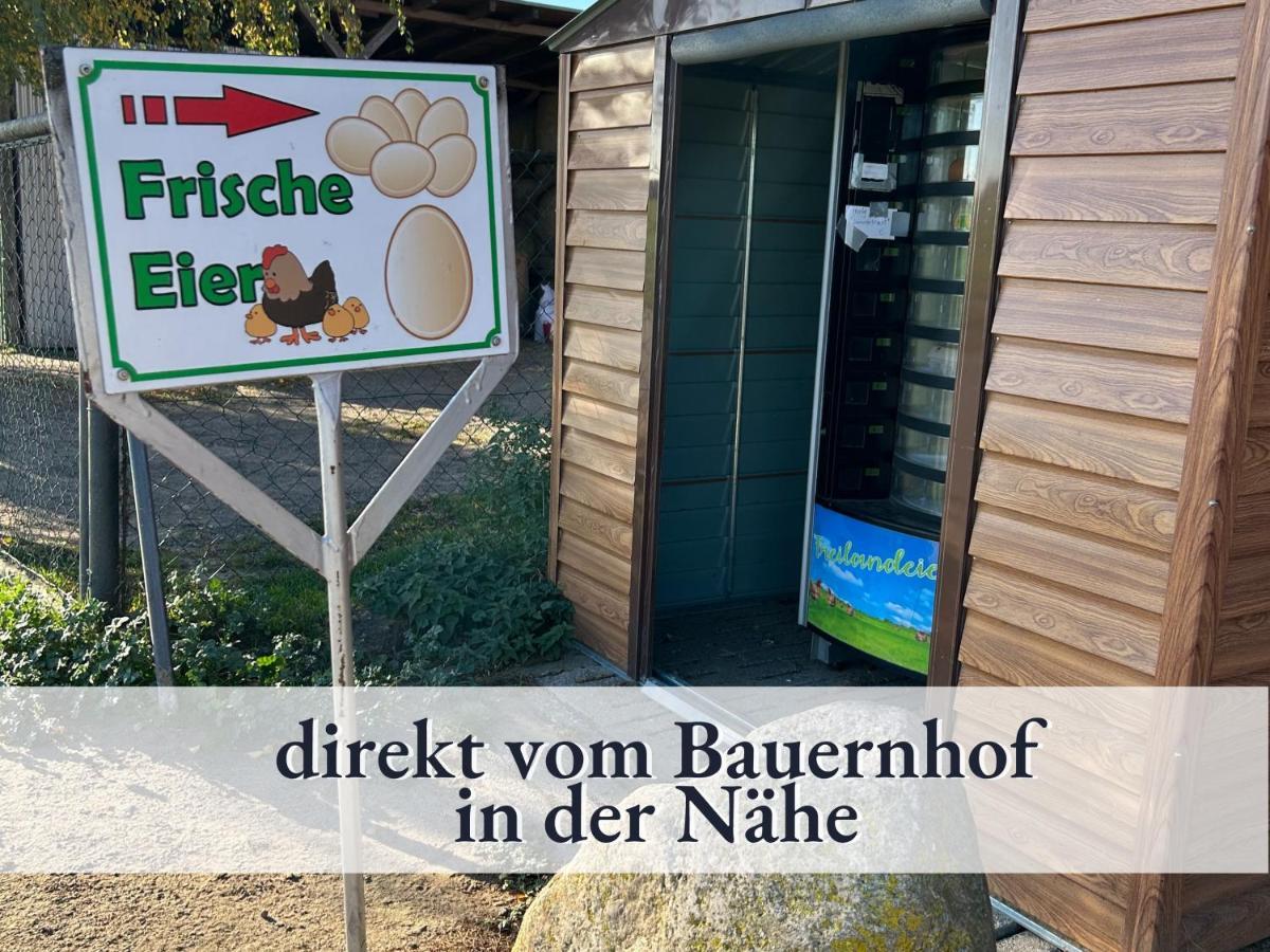 3 Zimmer App Duenengarten Fewo 58 Ostseebad Kühlungsborn Εξωτερικό φωτογραφία